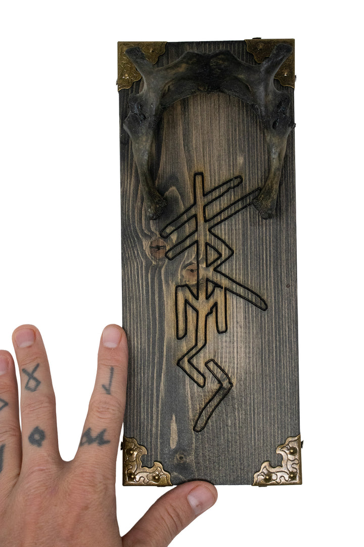 Turtle hip bone Freya bindrune wall hanger