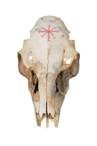 Image of Mausoleum Altar With Icelandic Magical Staves And Deer Skull