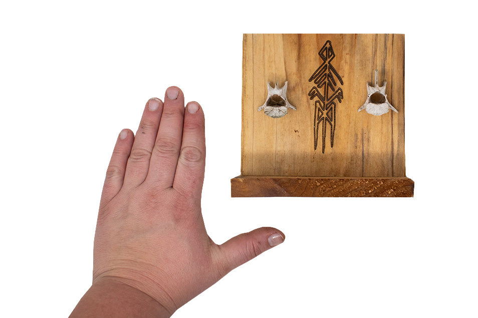 Coyote Vertebra Ancestral Wisdom Bindrune Altar