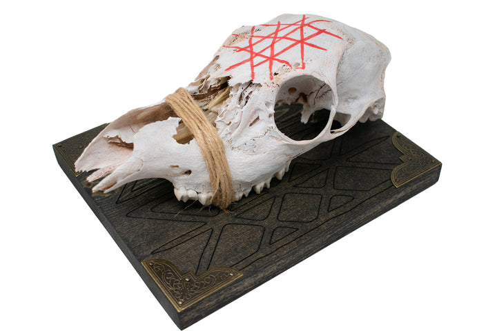 Web of Wyrd deer skull wall hanger