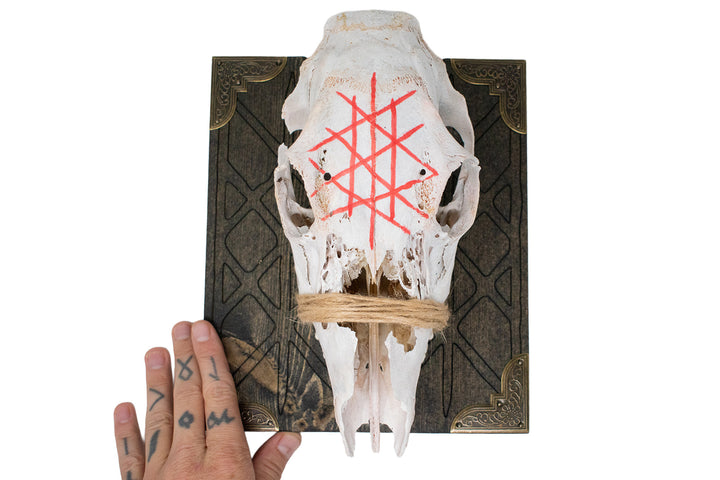 Web of Wyrd deer skull wall hanger