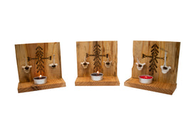 Coyote Vertebra Home Protection Bindrune Altar