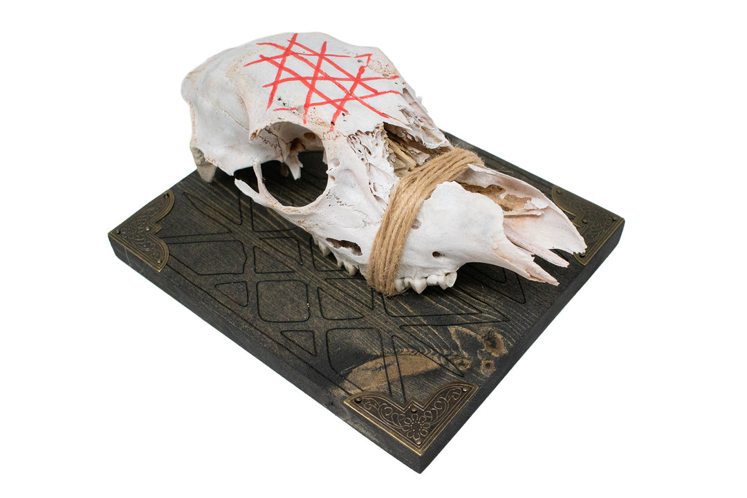 Web of Wyrd deer skull wall hanger
