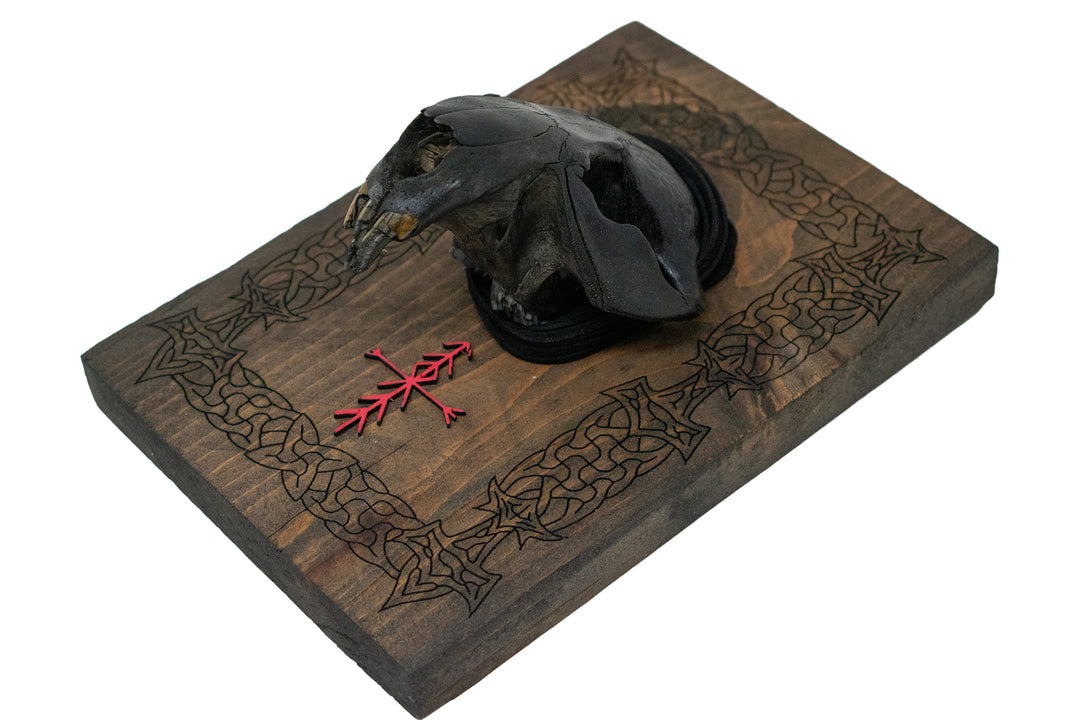 Blackened beaver skull Mjölnir wall hanger