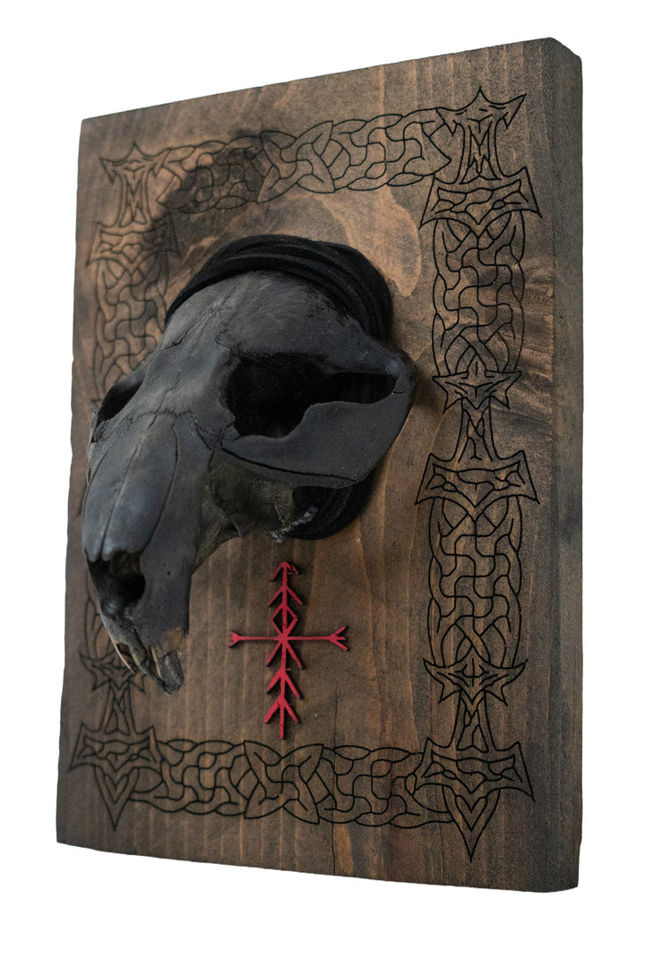 Blackened beaver skull Mjölnir wall hanger