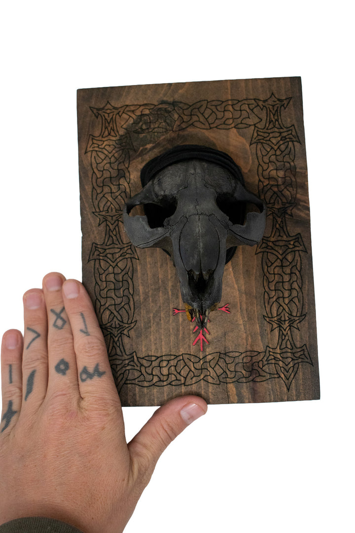Blackened beaver skull Mjölnir wall hanger