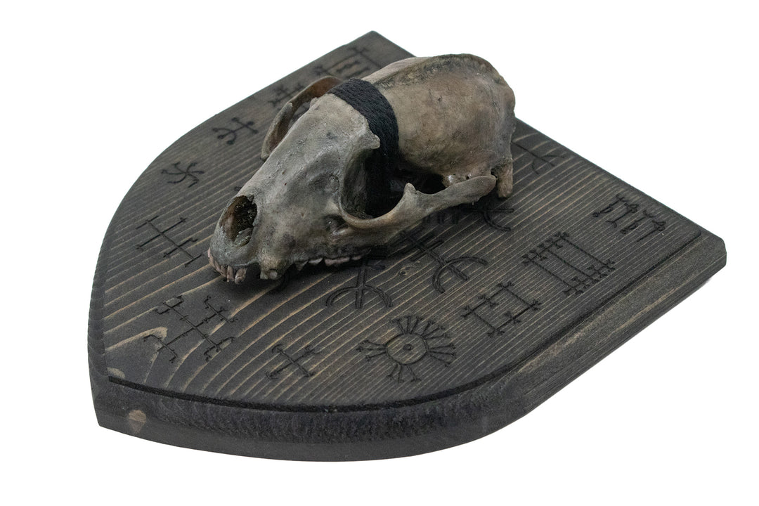 Blackened raccoon skull Icelandic magical staves wall hanger