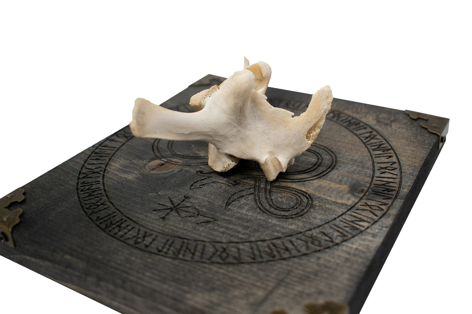 Elk Vertebra Wall Hanger with Loki Bindrune and Jormungandr Engraving