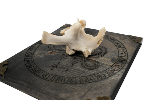 Image of Elk Vertebra Wall Hanger with Loki Bindrune and Jormungandr Engraving