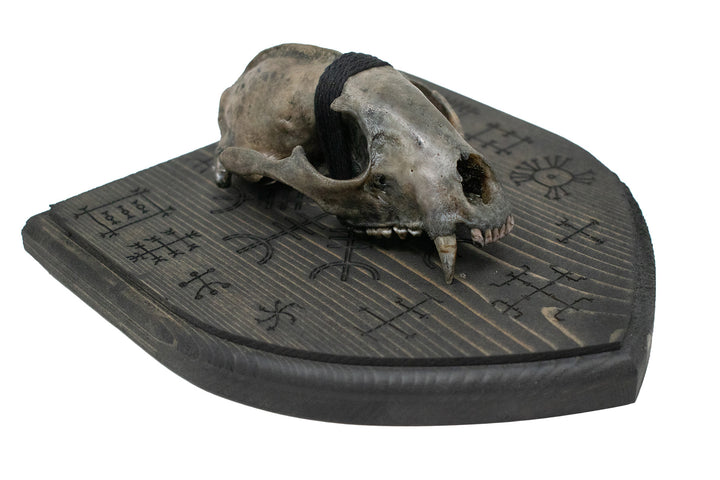 Blackened raccoon skull Icelandic magical staves wall hanger