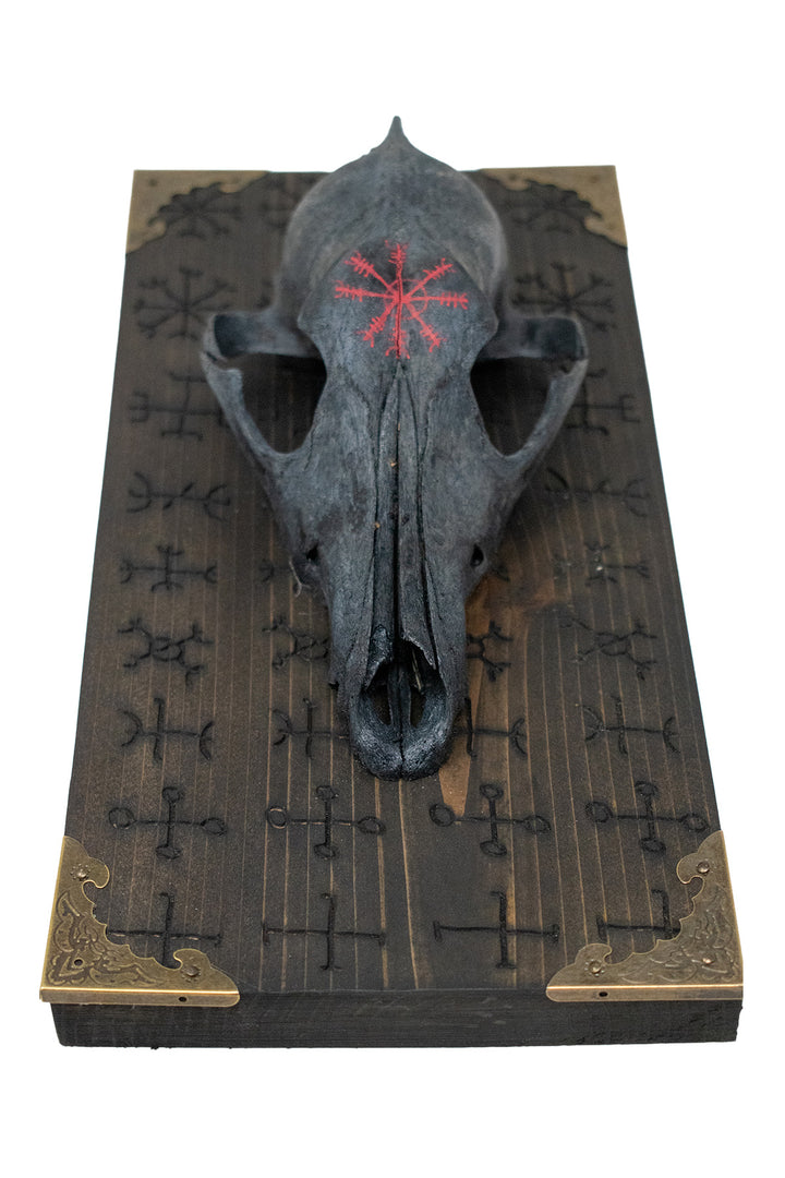 Blackened coyote skull Nine Helms wall hanger