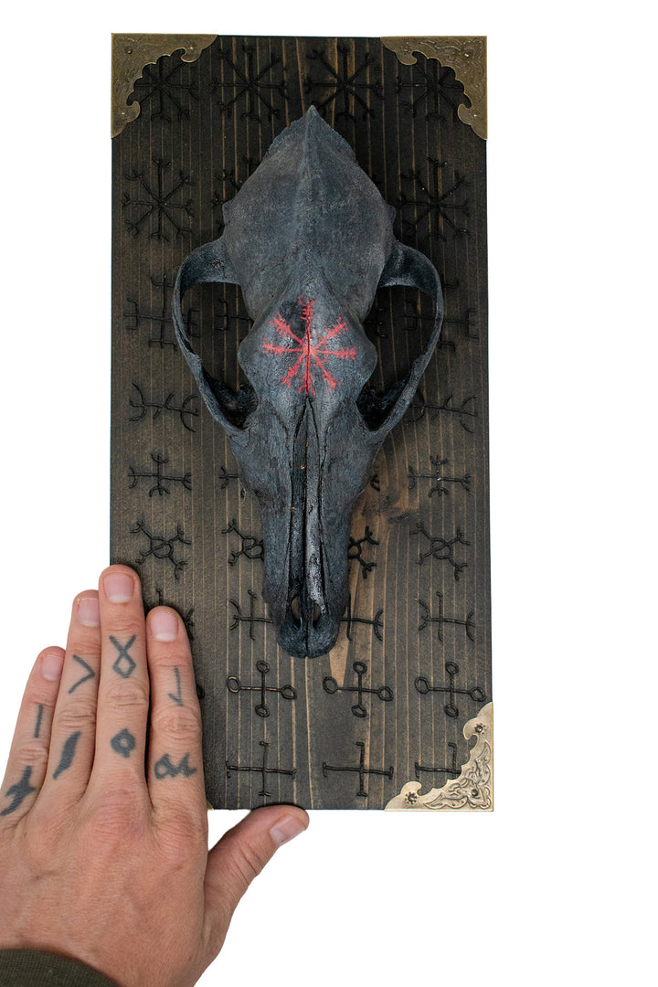 Blackened coyote skull Nine Helms wall hanger