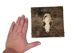 Connection To The Gods Stave Marten Skull Wall Hanger