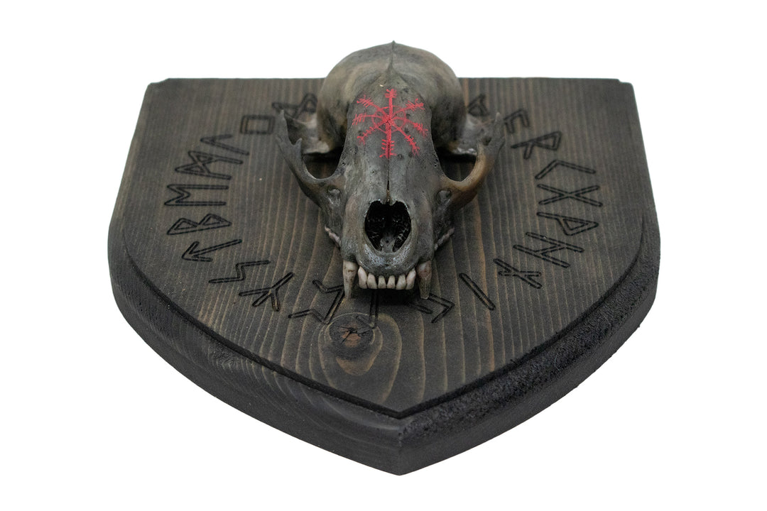 Blackened raccoon skull runic circle wall hanger