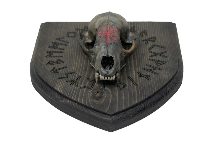 Blackened raccoon skull runic circle wall hanger