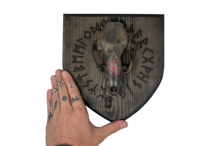 Blackened raccoon skull runic circle wall hanger