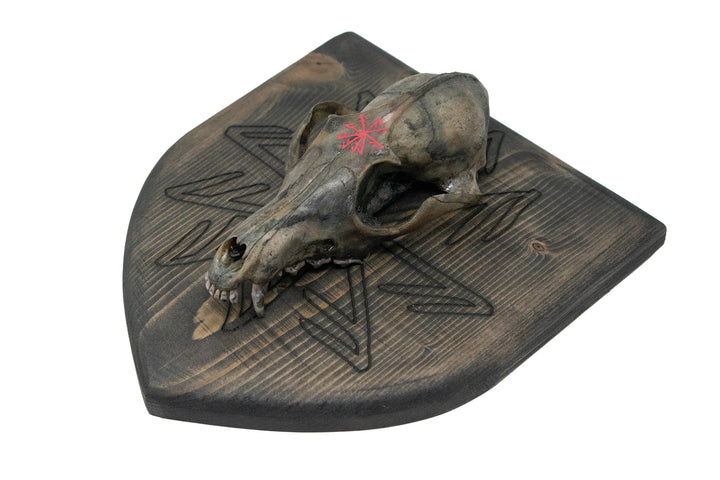 connection to the norse gods blackened coyote skull wall hanger