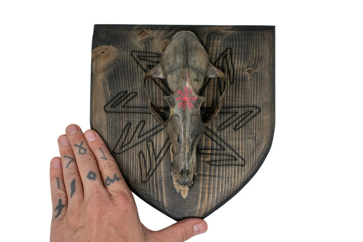 connection to the norse gods blackened coyote skull wall hanger