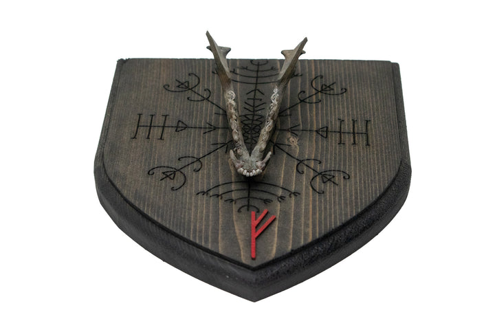 blackened coyote jawbone Veldismagn and Fehu rune wall hanger