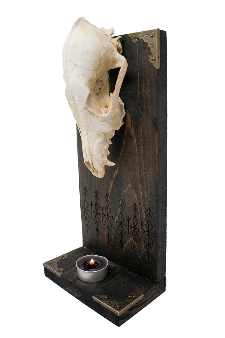 Home protection bindrune coyote skull altar