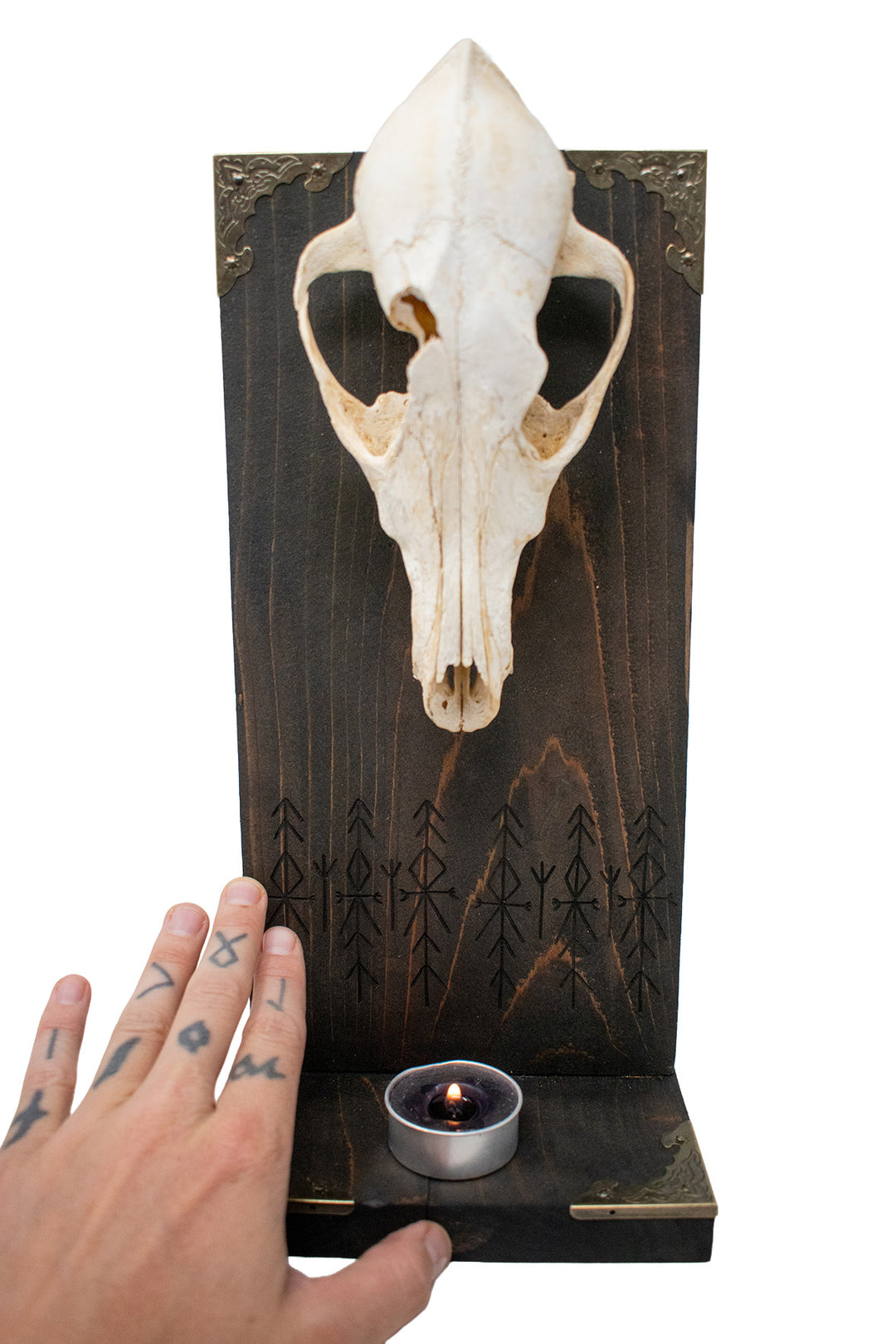 Home protection bindrune coyote skull altar