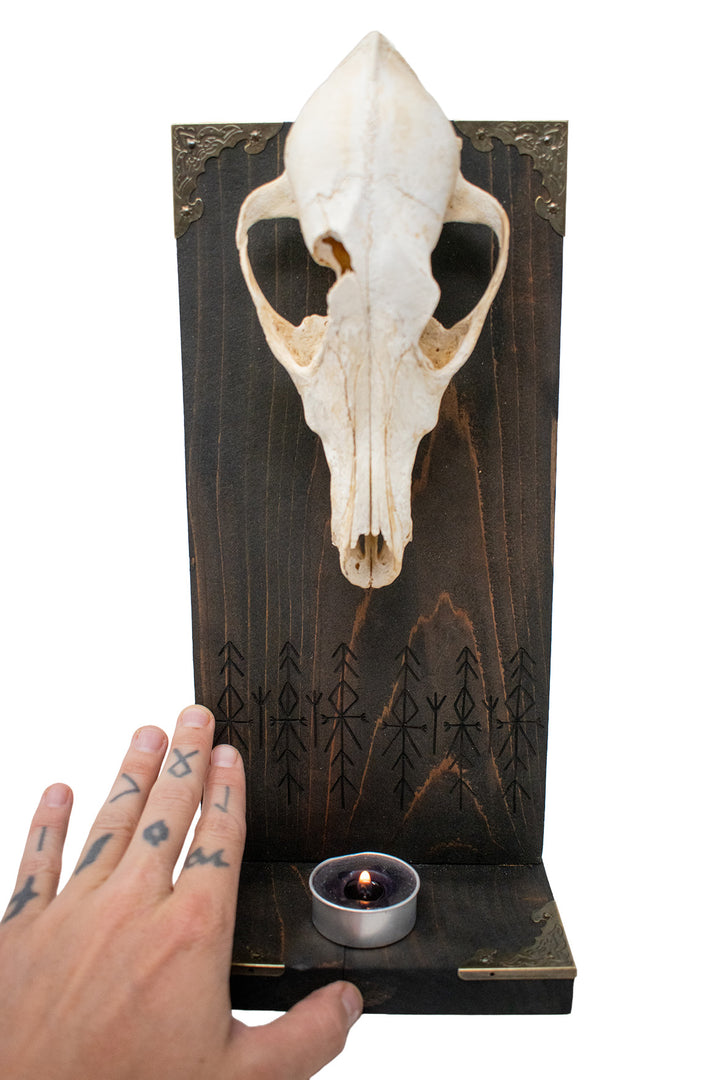 Home protection bindrune coyote skull altar