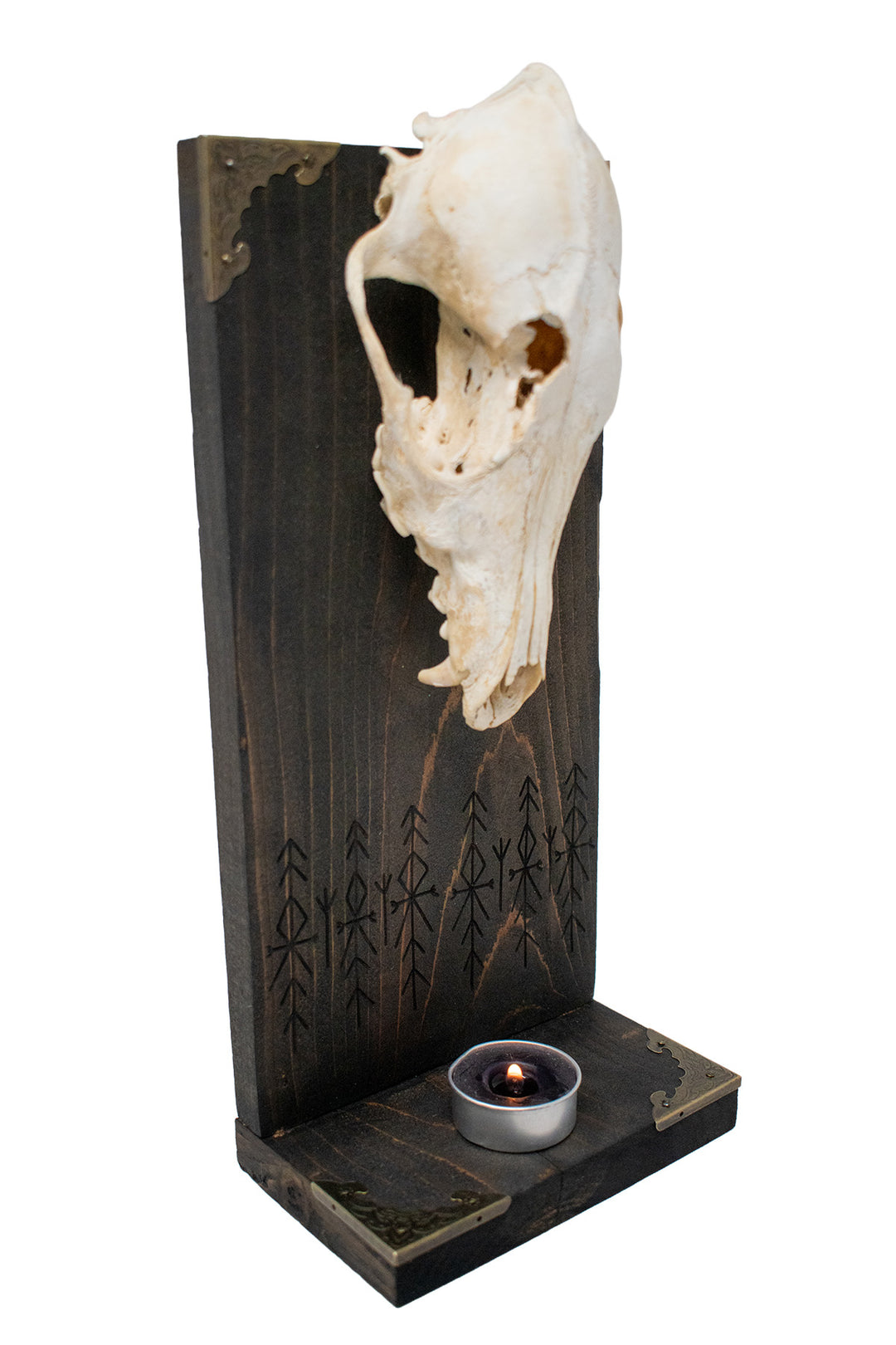 Home protection bindrune coyote skull altar