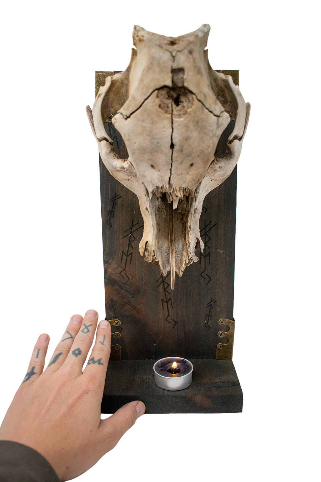 freya bindrune pig skull altar