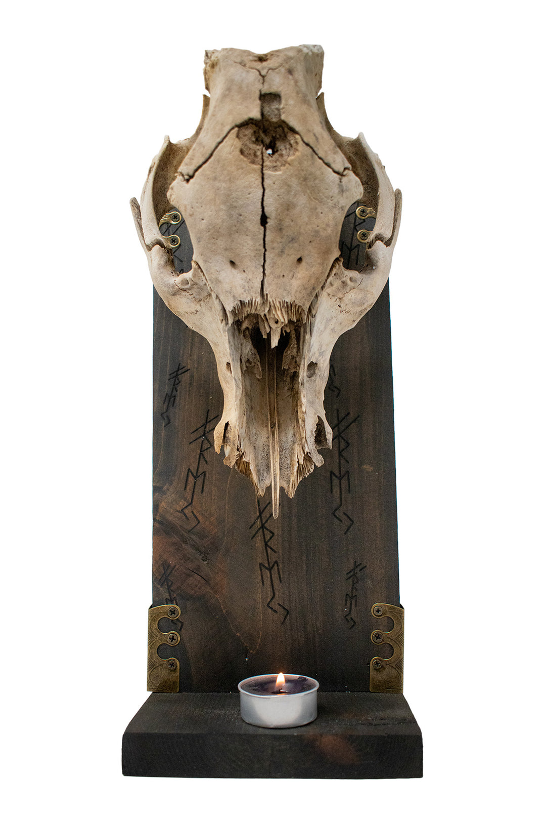 freya bindrune pig skull altar