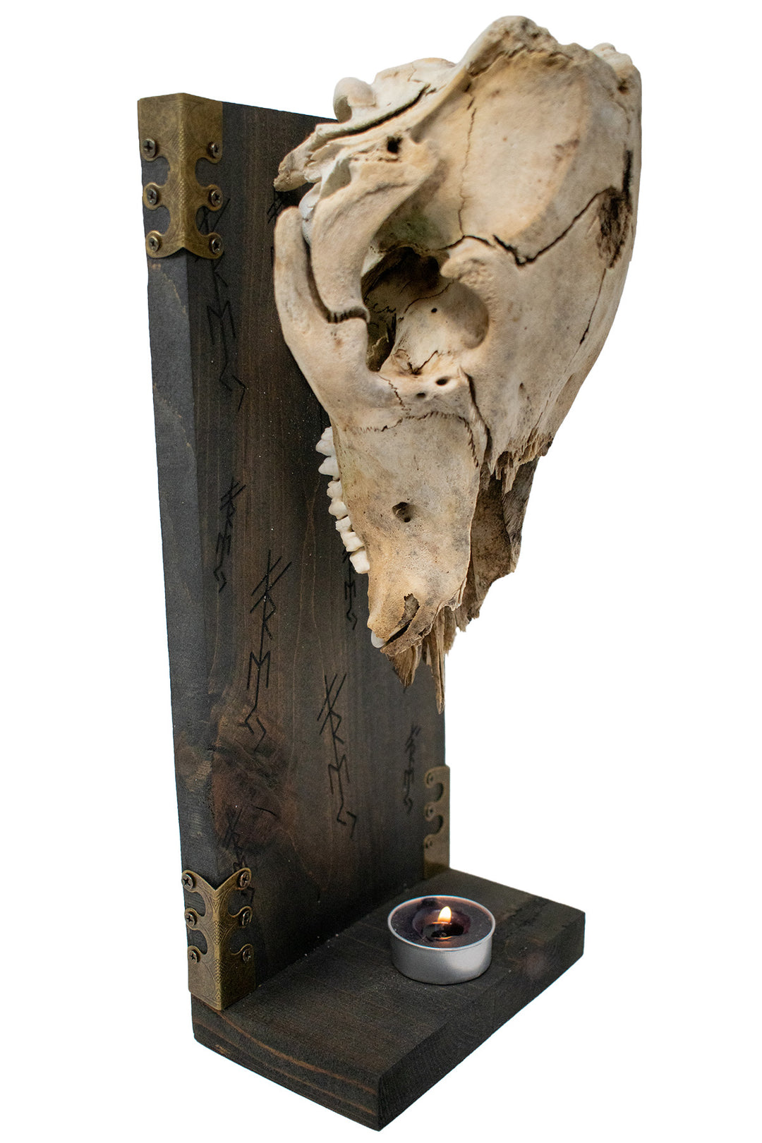 freya bindrune pig skull altar
