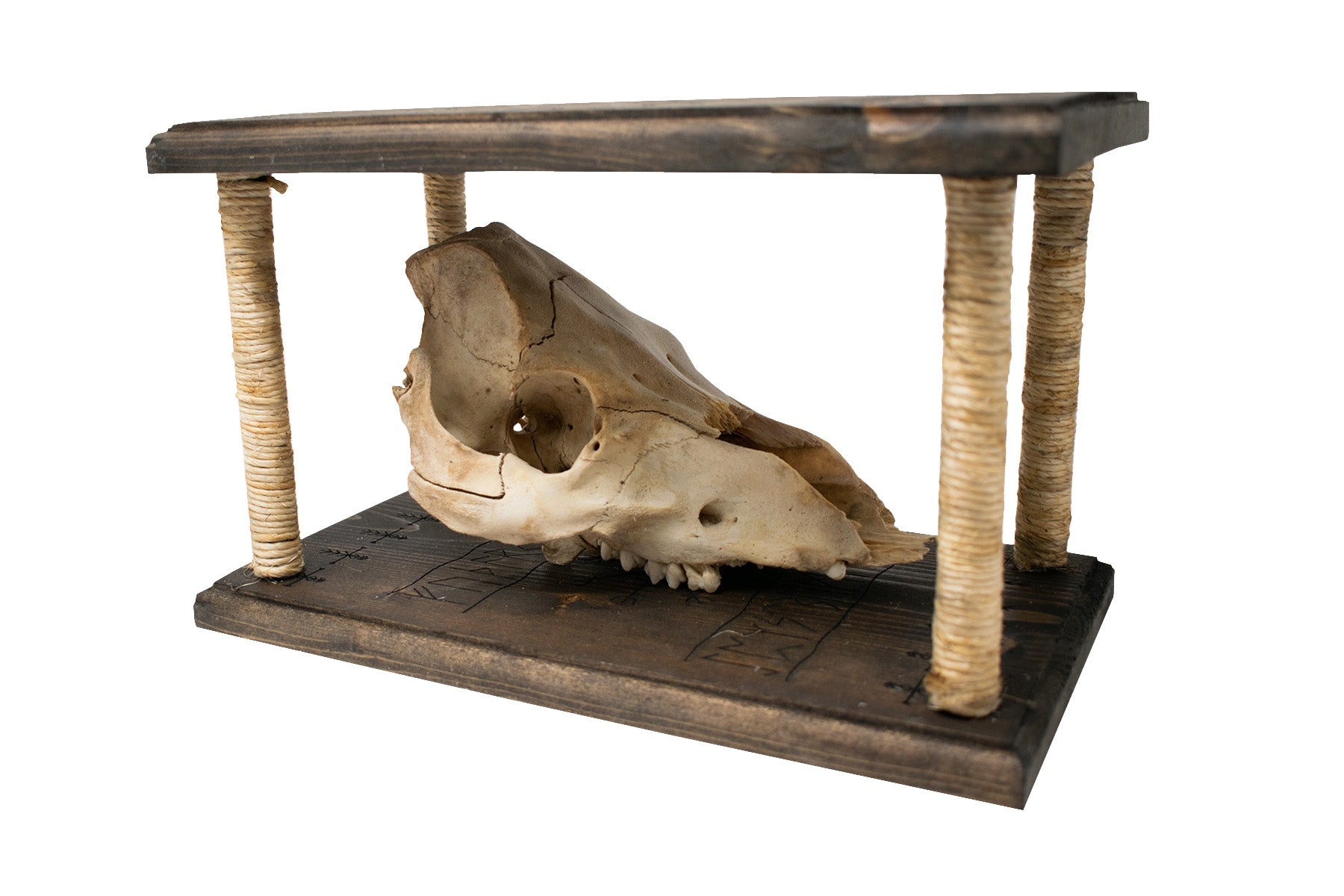 Mausoleum Altar with Detachable Pig Skull and Protective Staves