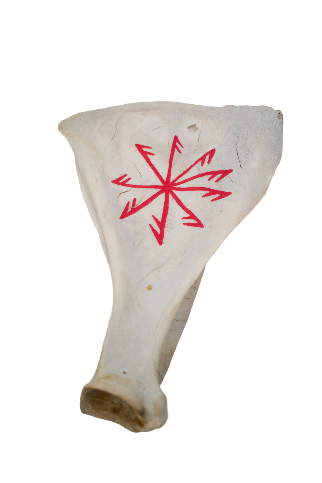 hand painted deer scapula ritual talismans