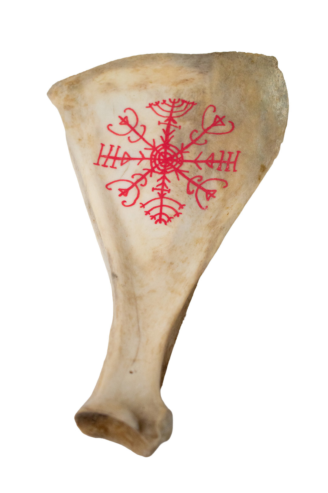 hand painted deer scapula ritual talismans