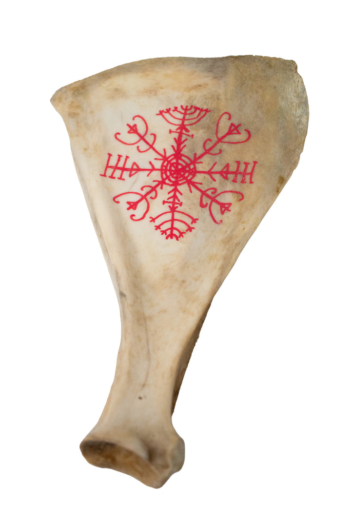 hand painted deer scapula ritual talismans