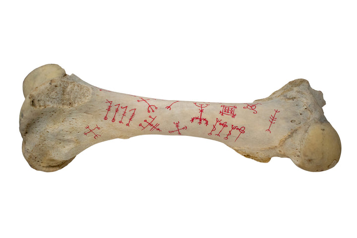 icelandic magical stave cow leg bone