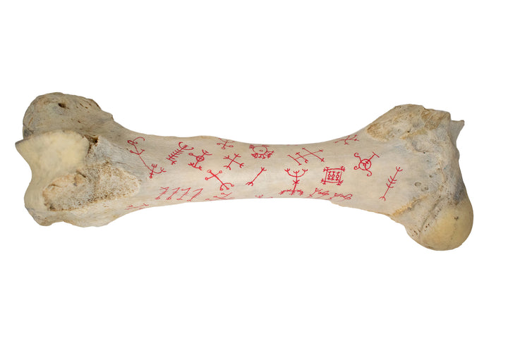 icelandic magical stave cow leg bone