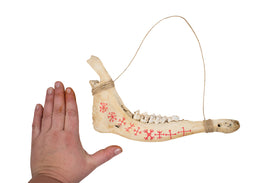 9 Helms Deer Jawbone Talisman