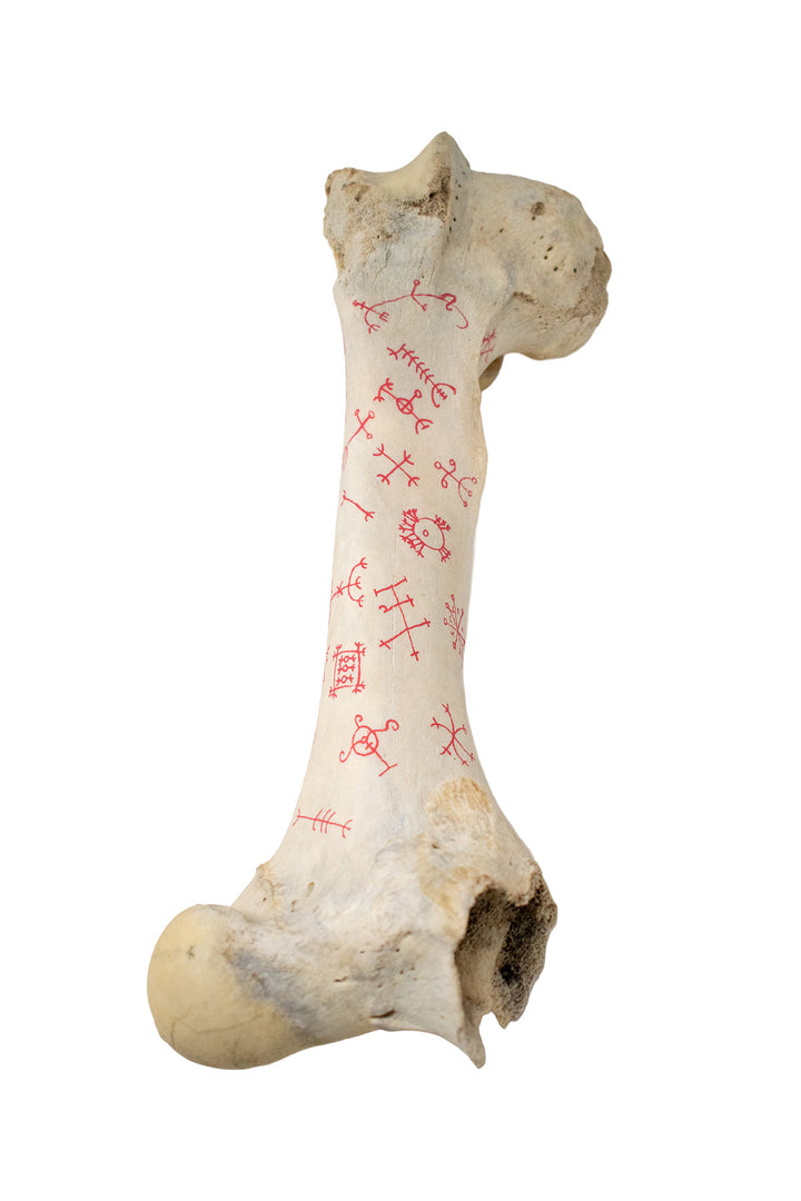 icelandic magical stave cow leg bone