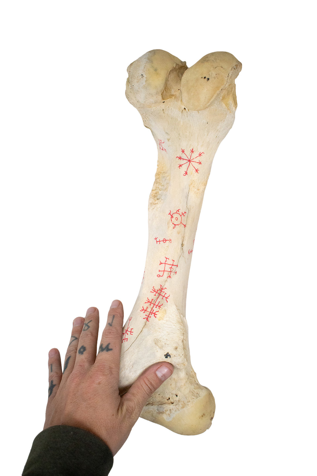 icelandic magical stave cow leg bone