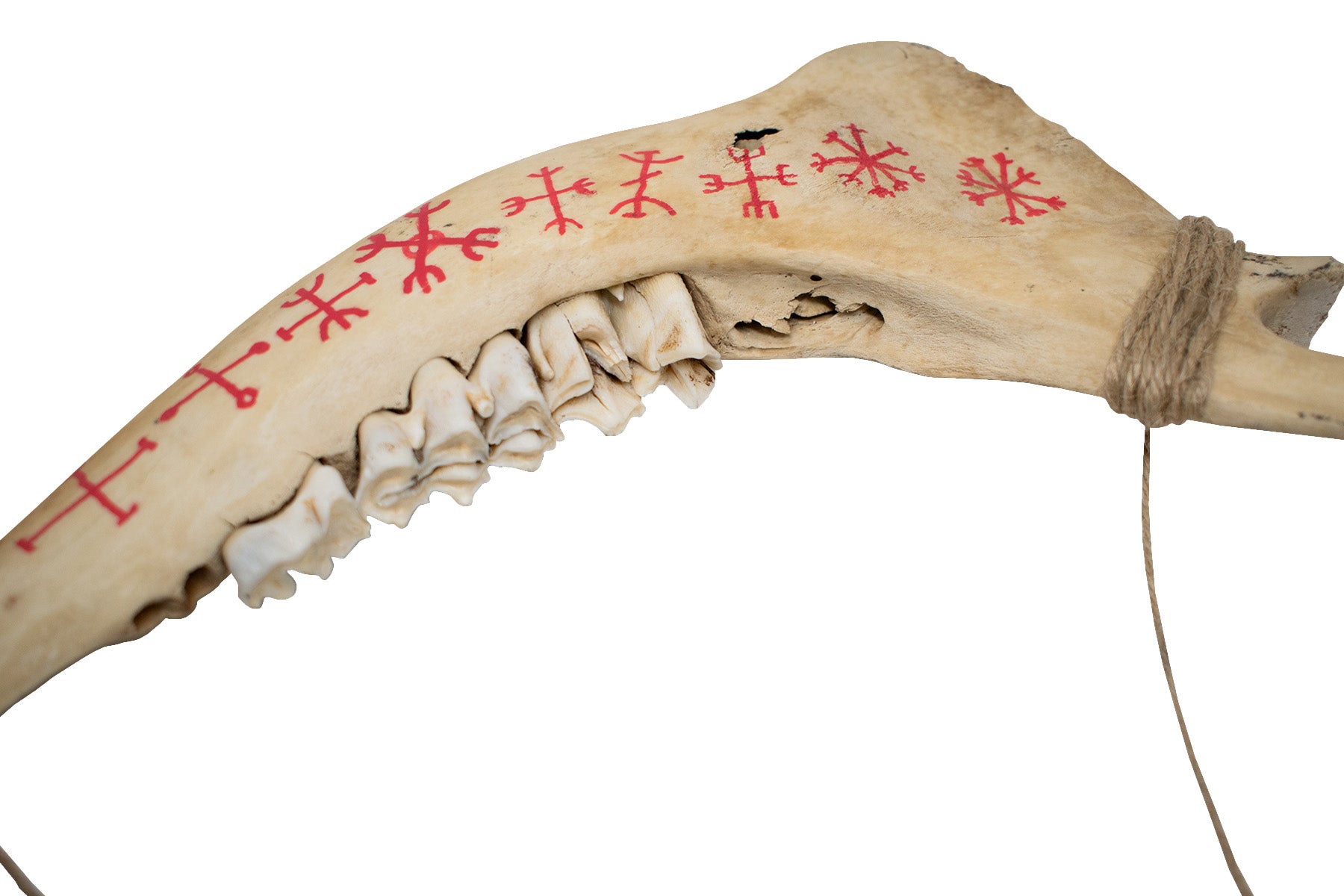 9 Helms Deer Jawbone Talisman