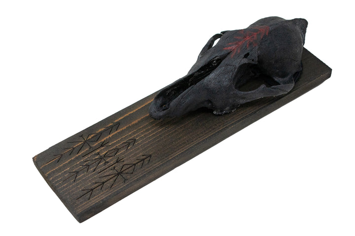 blackened coyote skull & home protection bindrune wall hanger