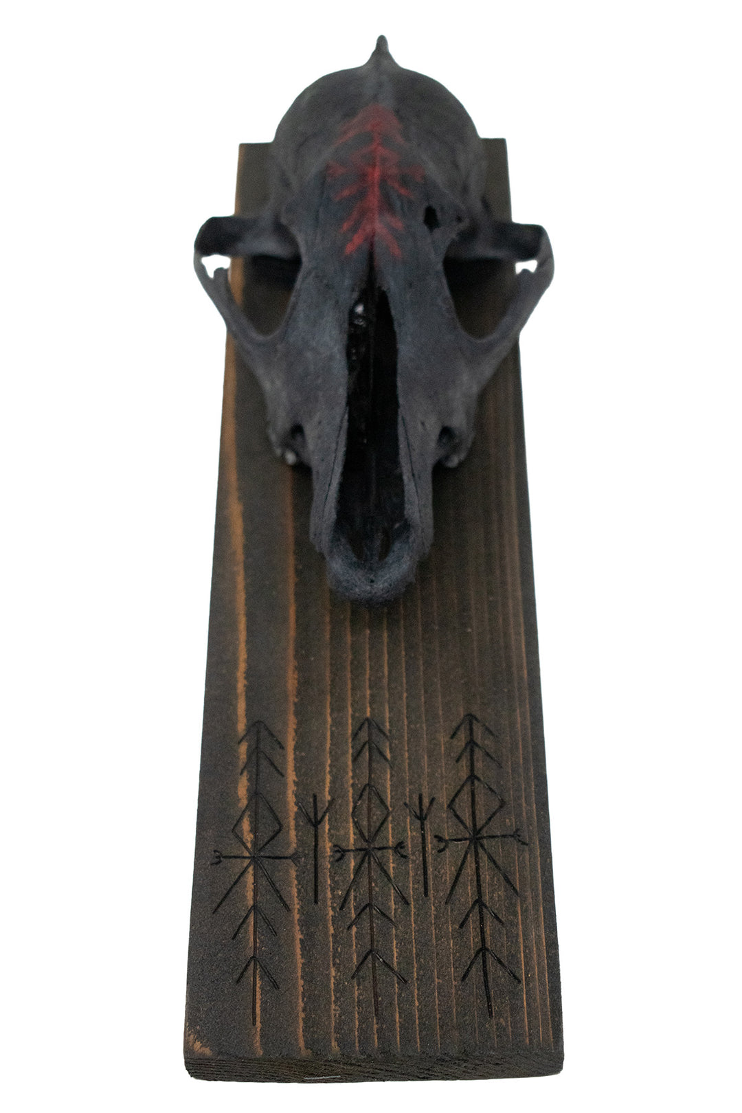 blackened coyote skull & home protection bindrune wall hanger