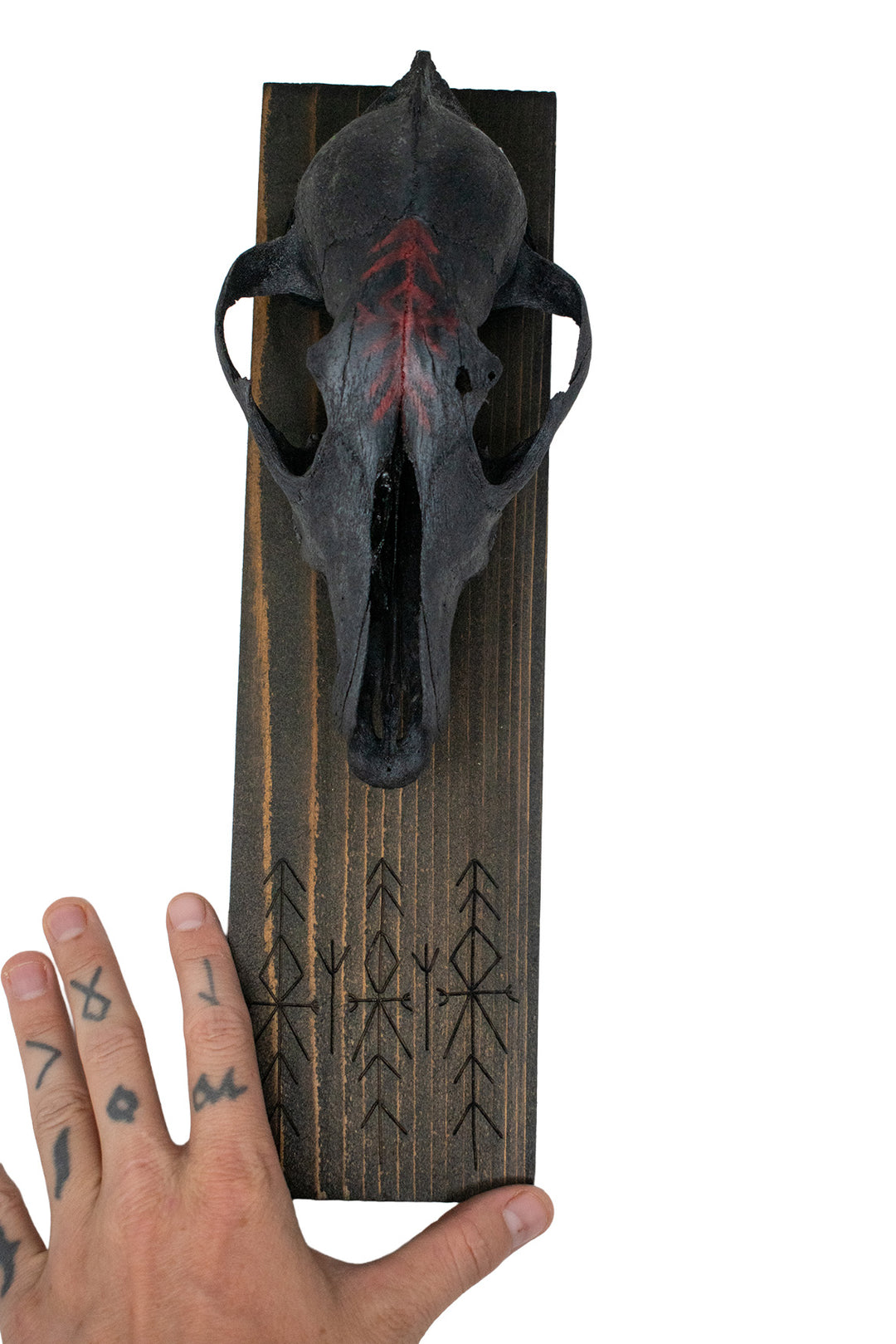 blackened coyote skull & home protection bindrune wall hanger