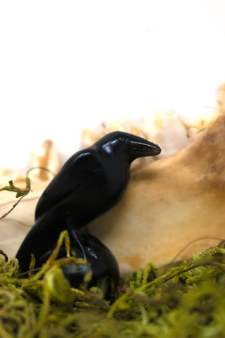 Image of obsidian raven