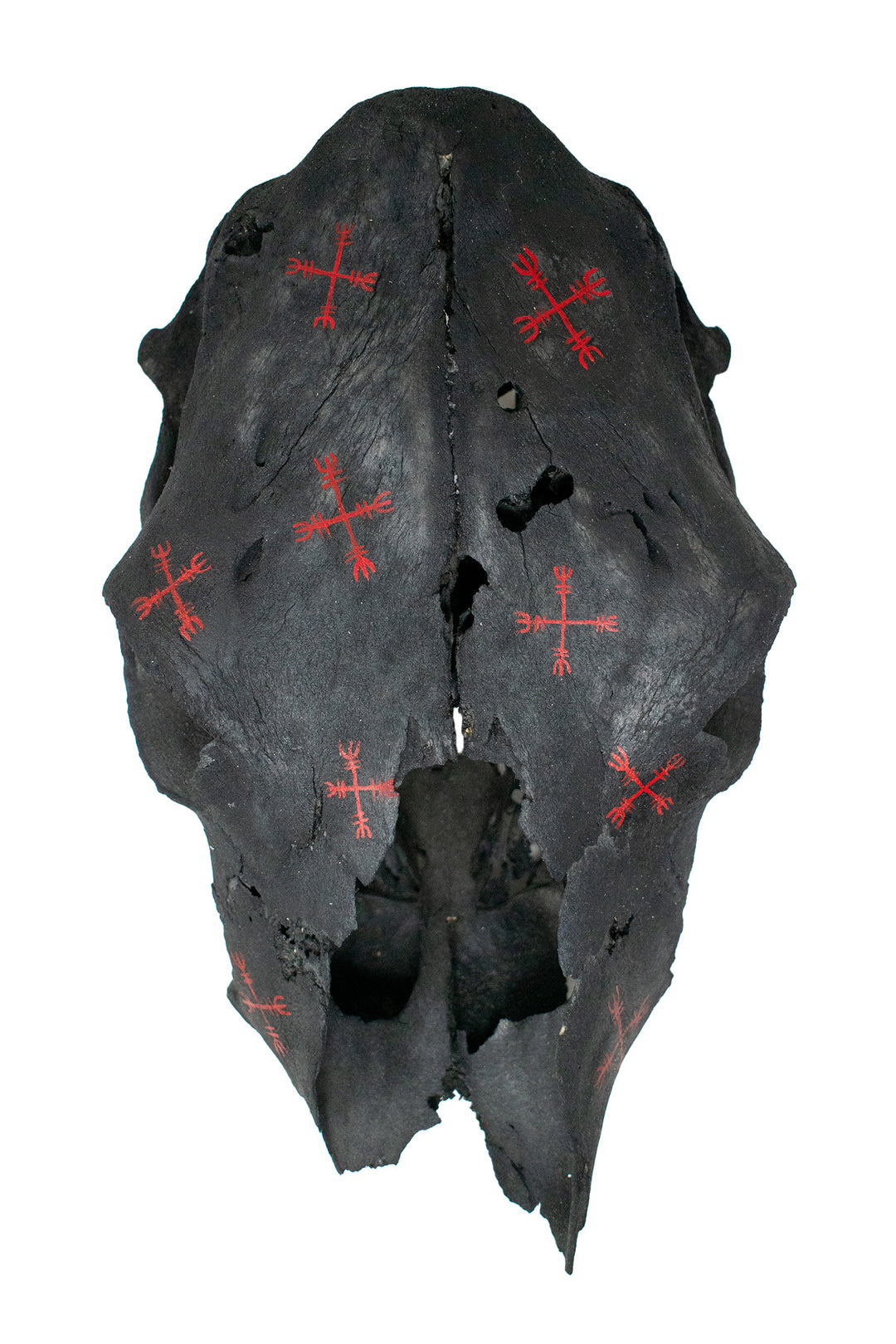 ward off negative forces sigil blackened cow skull