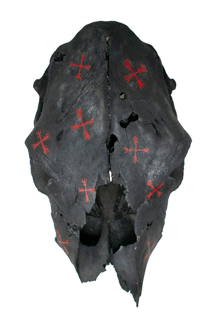 ward off negative forces sigil blackened cow skull