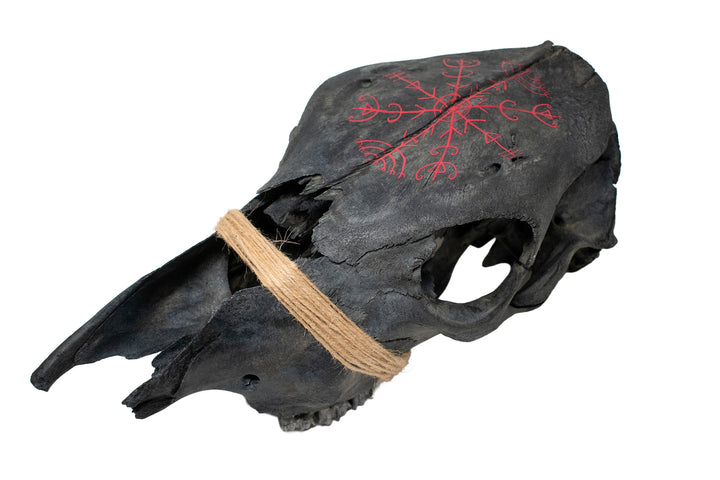 blackened cow skull with Veldismagn stave