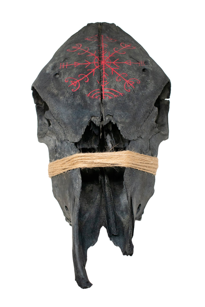 blackened cow skull with Veldismagn stave