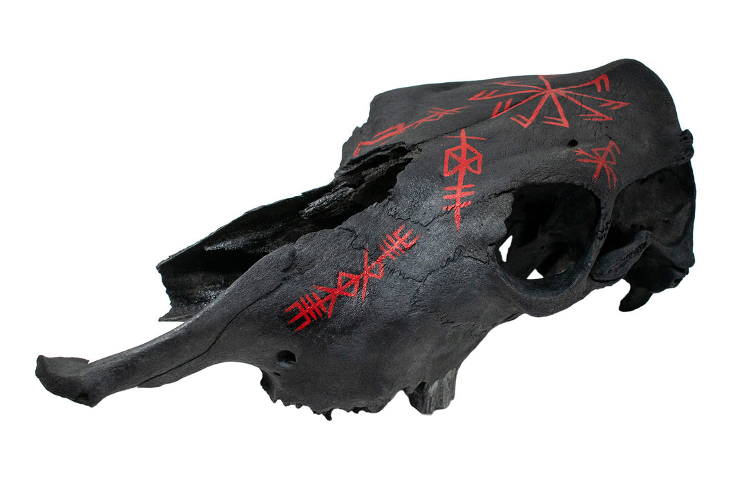 connection to the gods & deity bindrunes blackened cow skull