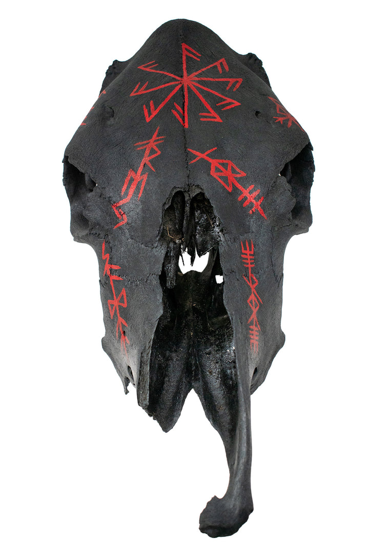 connection to the gods & deity bindrunes blackened cow skull